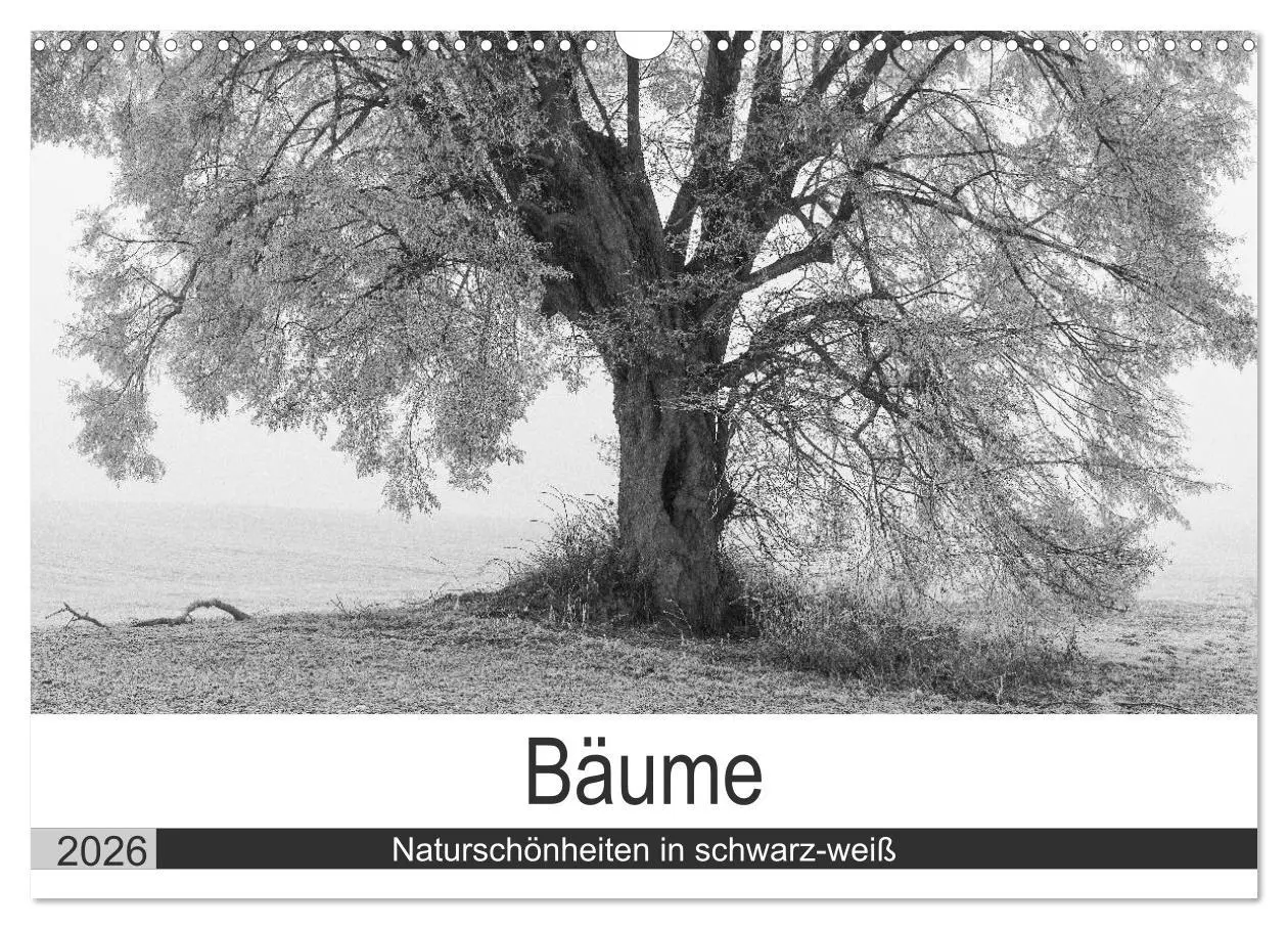 Cover: 9783516118728 | Bäume - Naturschönheiten in schwarz-weiß (Wandkalender 2026 DIN A3...