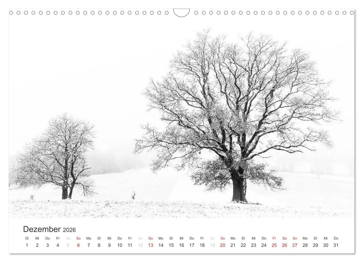 Bild: 9783516118728 | Bäume - Naturschönheiten in schwarz-weiß (Wandkalender 2026 DIN A3...