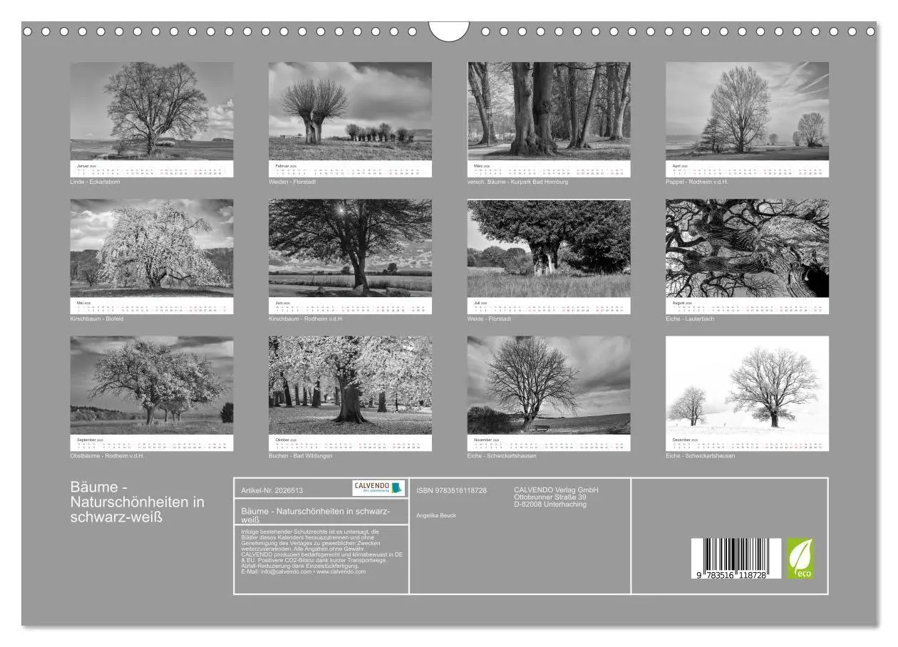 Bild: 9783516118728 | Bäume - Naturschönheiten in schwarz-weiß (Wandkalender 2026 DIN A3...