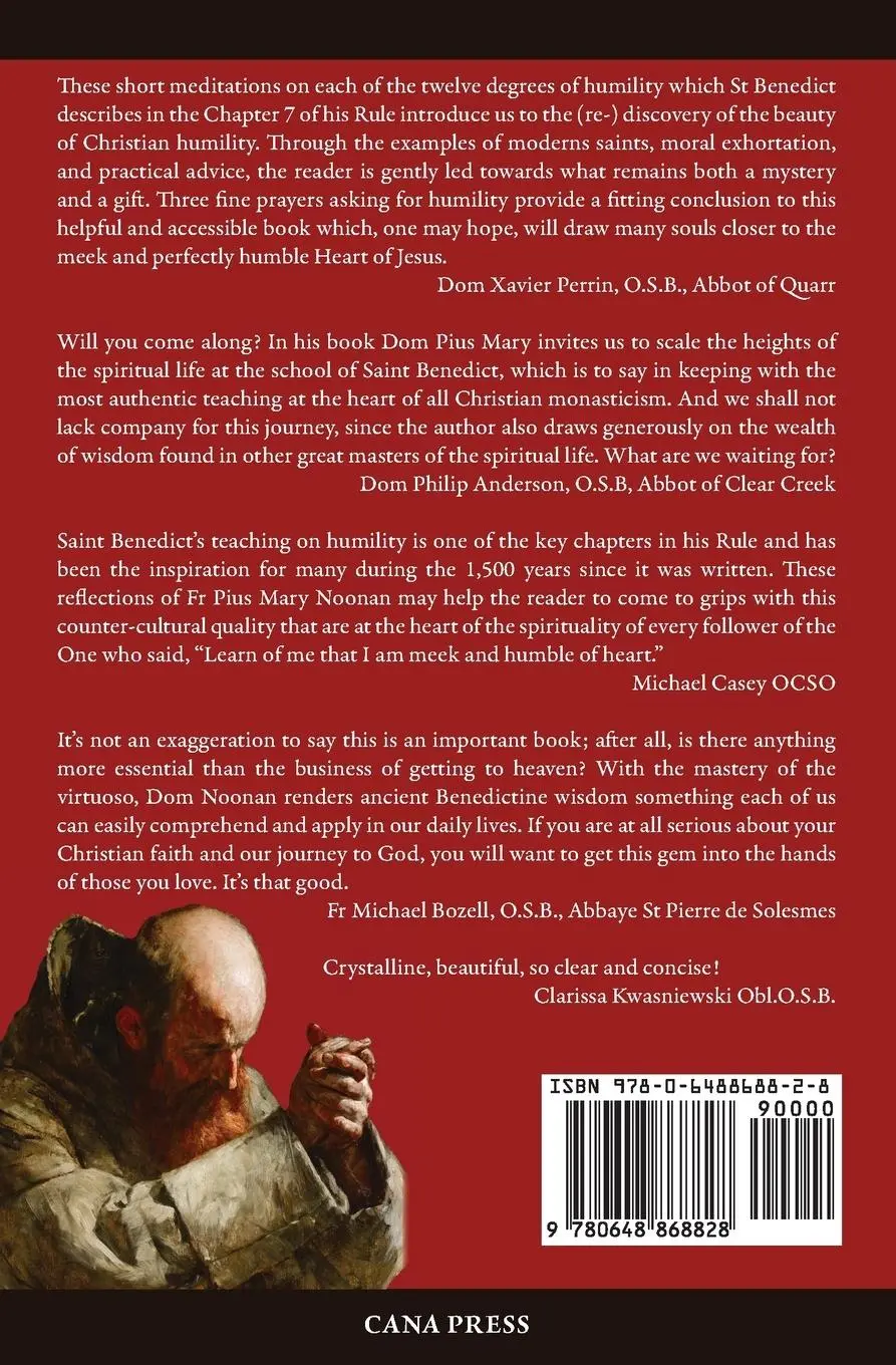 Rückseite: 9780648868828 | The Grace to Desire It | Pius Mary Noonan | Taschenbuch | Englisch