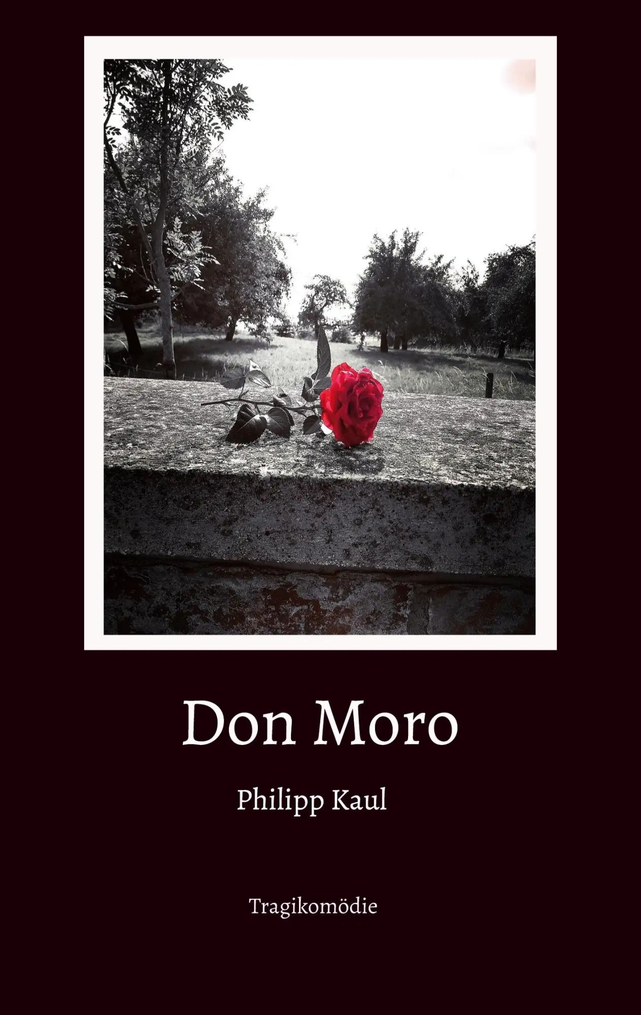 Cover: 9783756858828 | Don Moro | Philipp Kaul | Taschenbuch | Paperback | 160 S. | Deutsch
