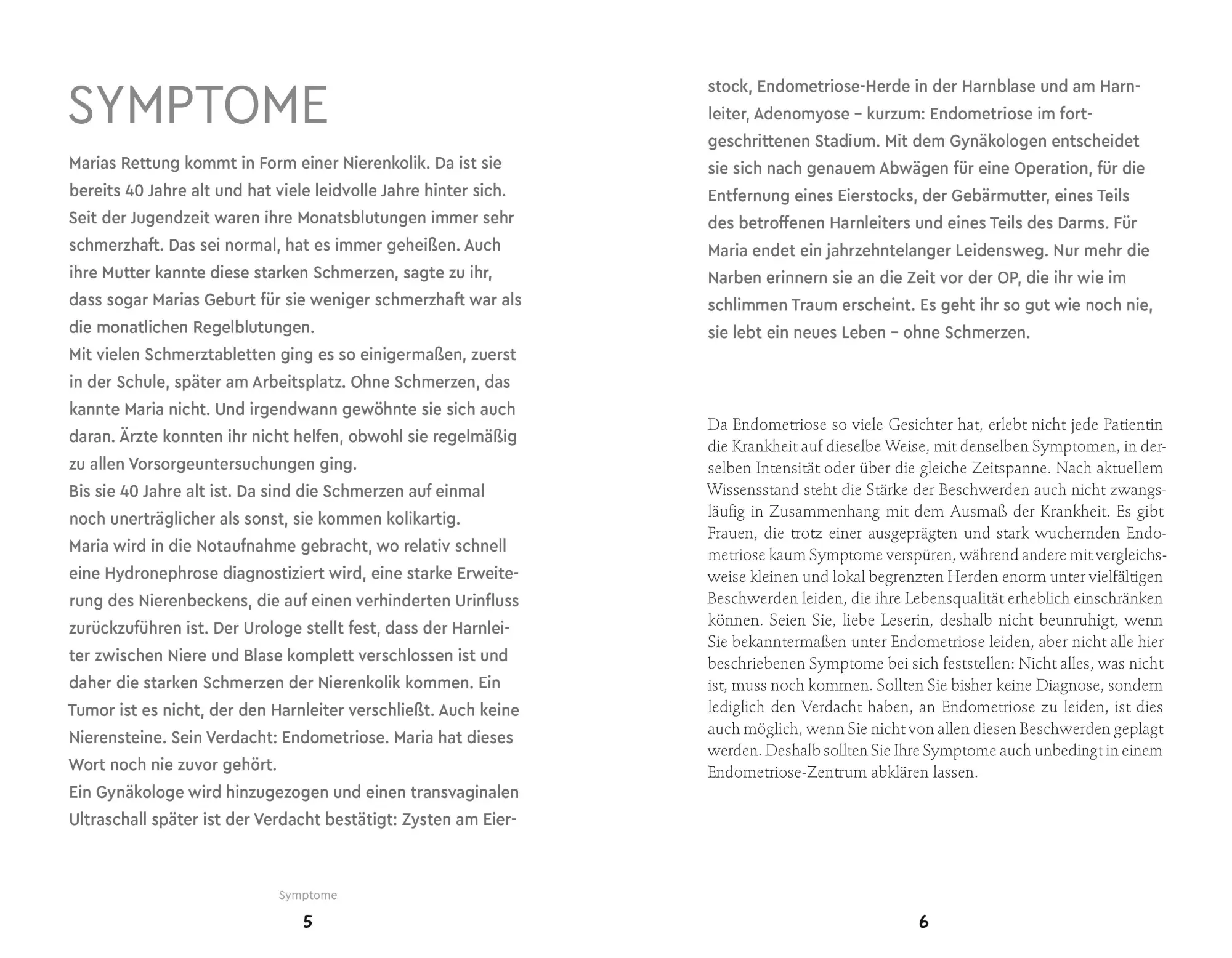 Bild: 9788868398828 | Endometriose-Sprechstunde | Martin Steinkasserer (u. a.) | Taschenbuch