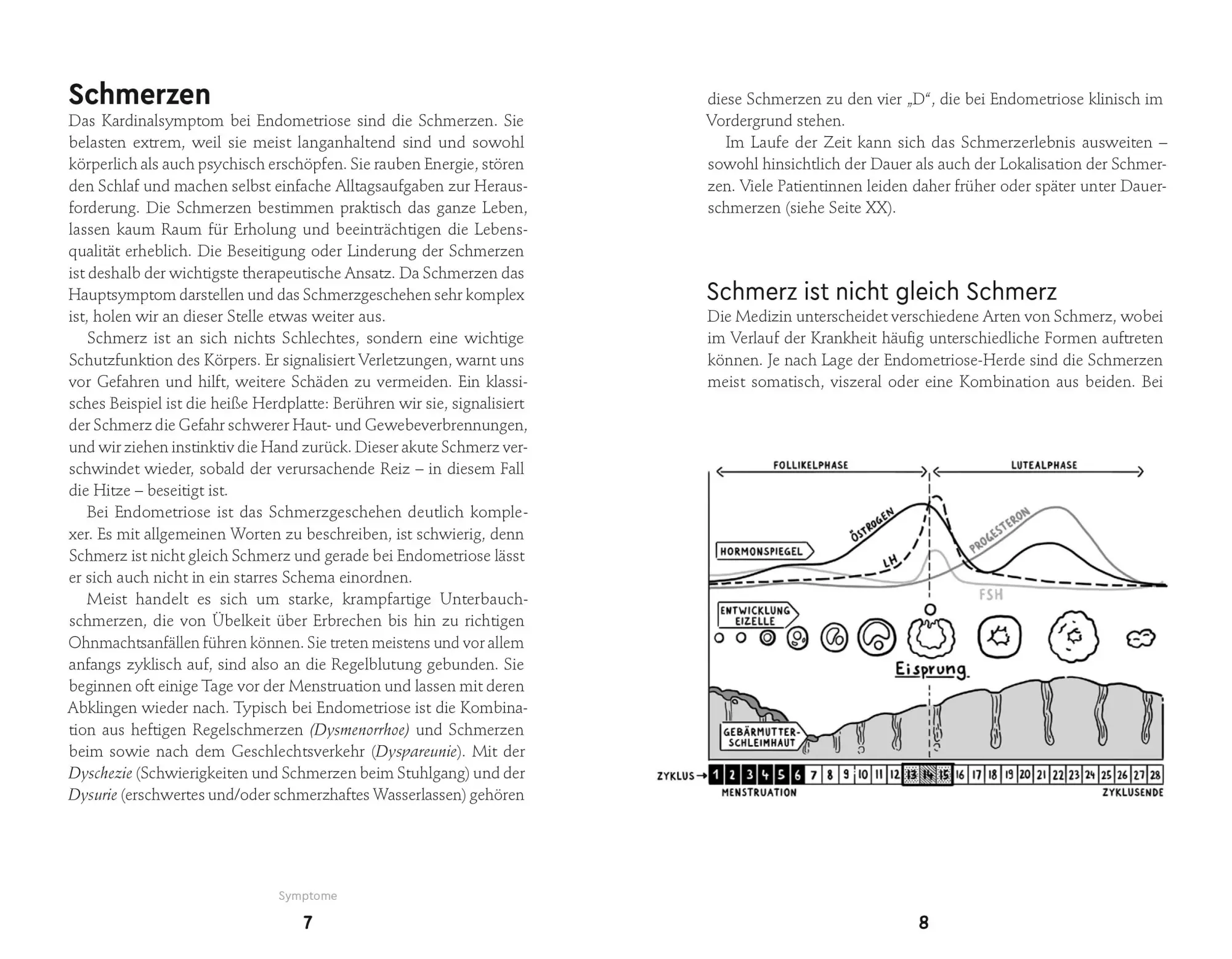 Bild: 9788868398828 | Endometriose-Sprechstunde | Martin Steinkasserer (u. a.) | Taschenbuch