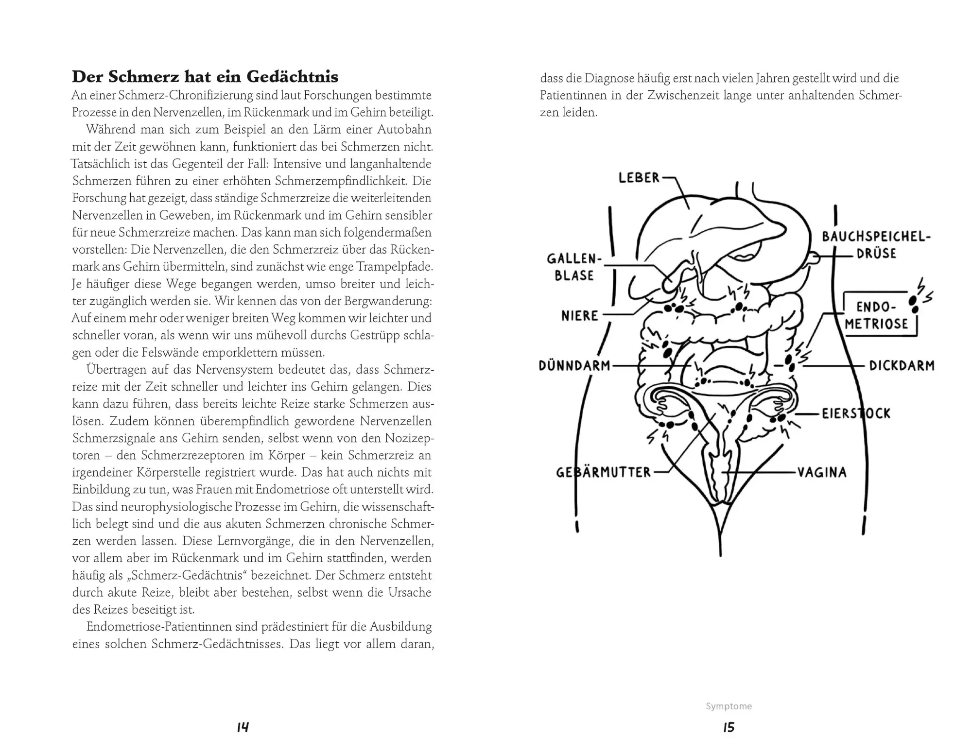 Bild: 9788868398828 | Endometriose-Sprechstunde | Martin Steinkasserer (u. a.) | Taschenbuch