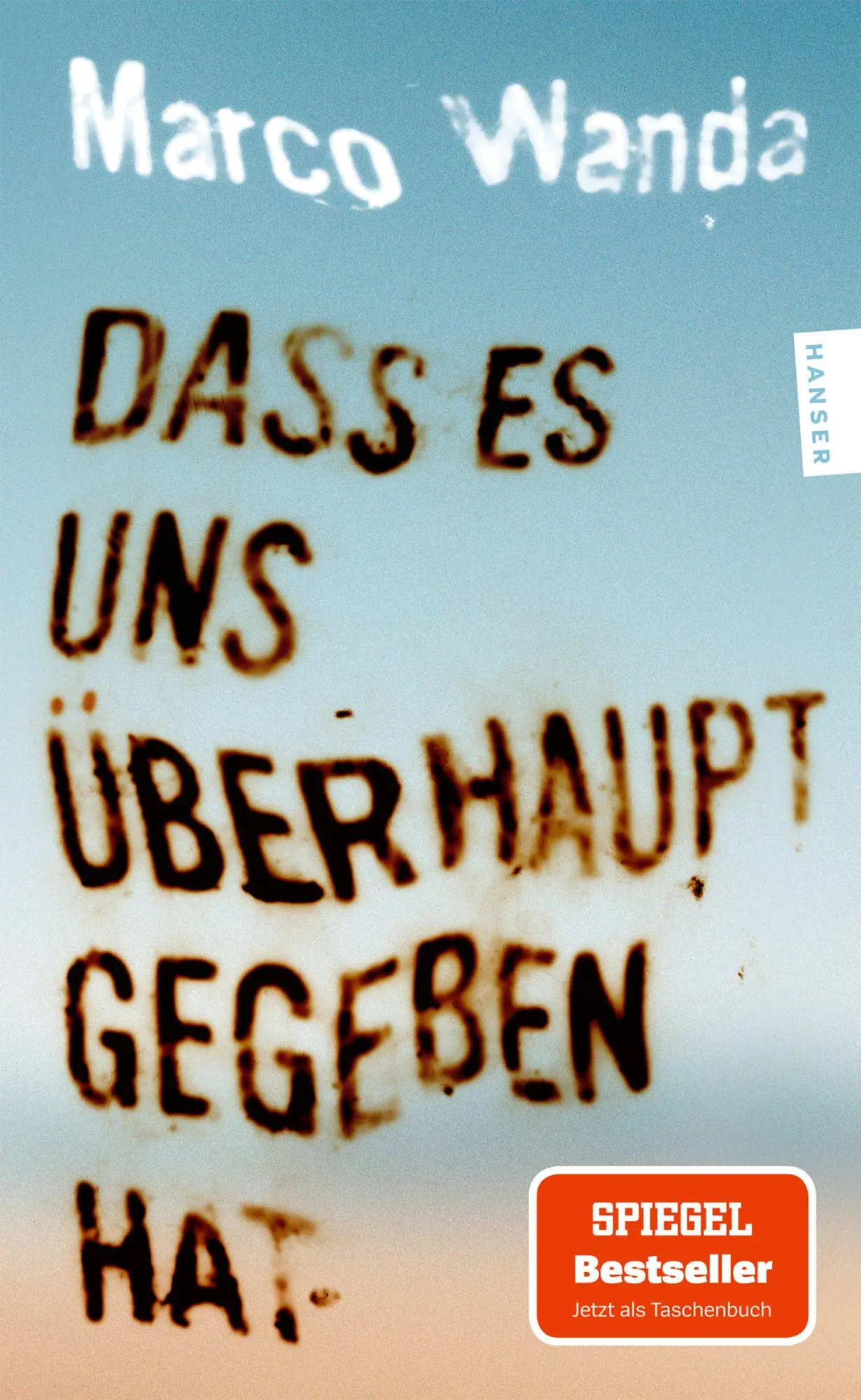 Cover: 9783446288928 | Dass es uns überhaupt gegeben hat | Marco Wanda | Taschenbuch | 288 S.