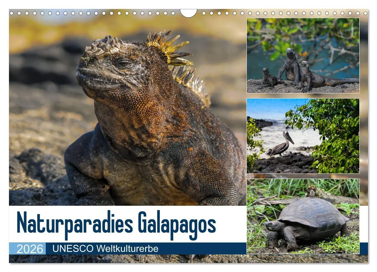 Cover: 9783457868928 | Naturparadies Galapagos - UNESCO Weltkulturerbe (Wandkalender 2026...