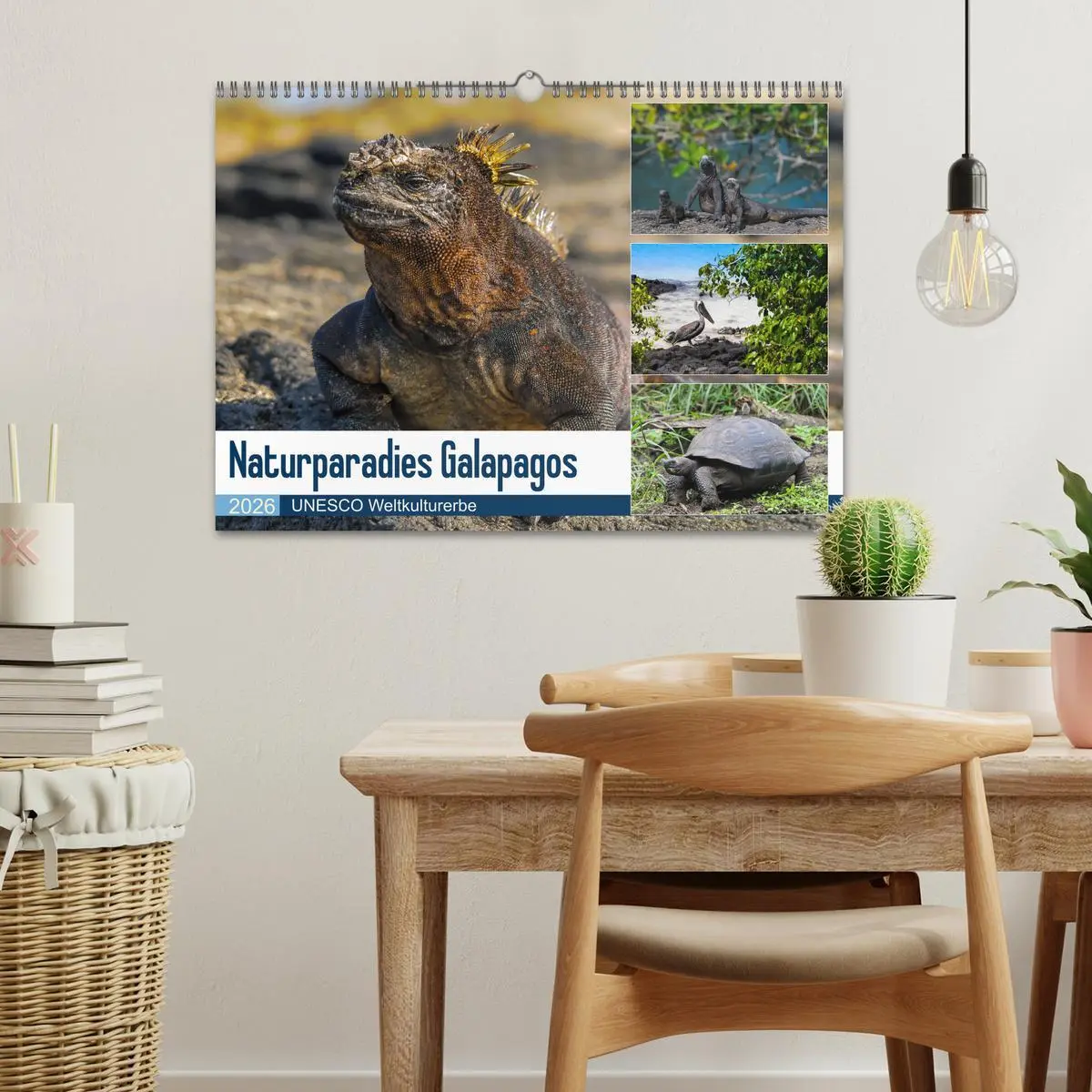 Bild: 9783457868928 | Naturparadies Galapagos - UNESCO Weltkulturerbe (Wandkalender 2026...