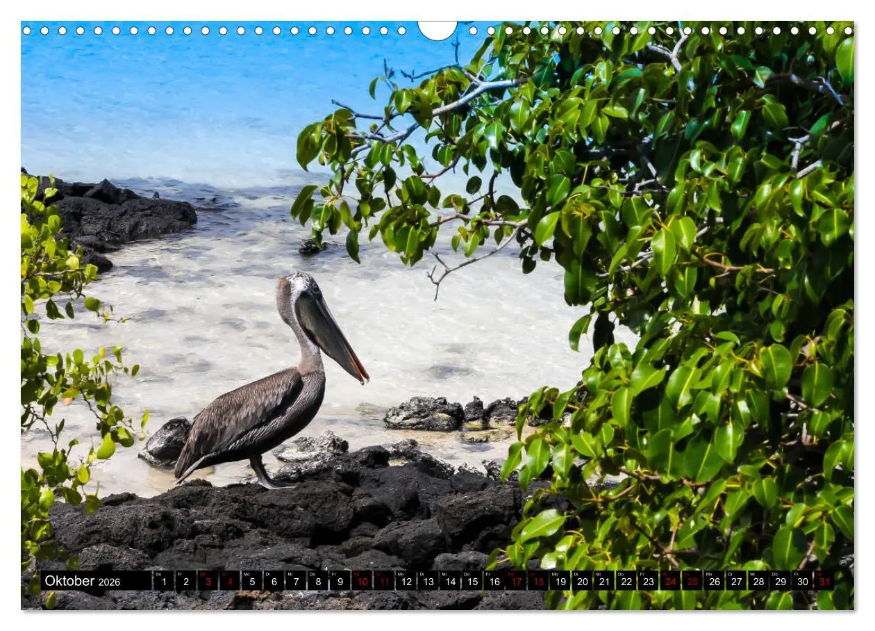 Bild: 9783457868928 | Naturparadies Galapagos - UNESCO Weltkulturerbe (Wandkalender 2026...
