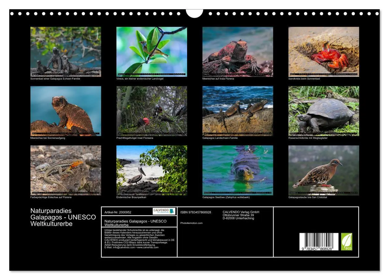Bild: 9783457868928 | Naturparadies Galapagos - UNESCO Weltkulturerbe (Wandkalender 2026...