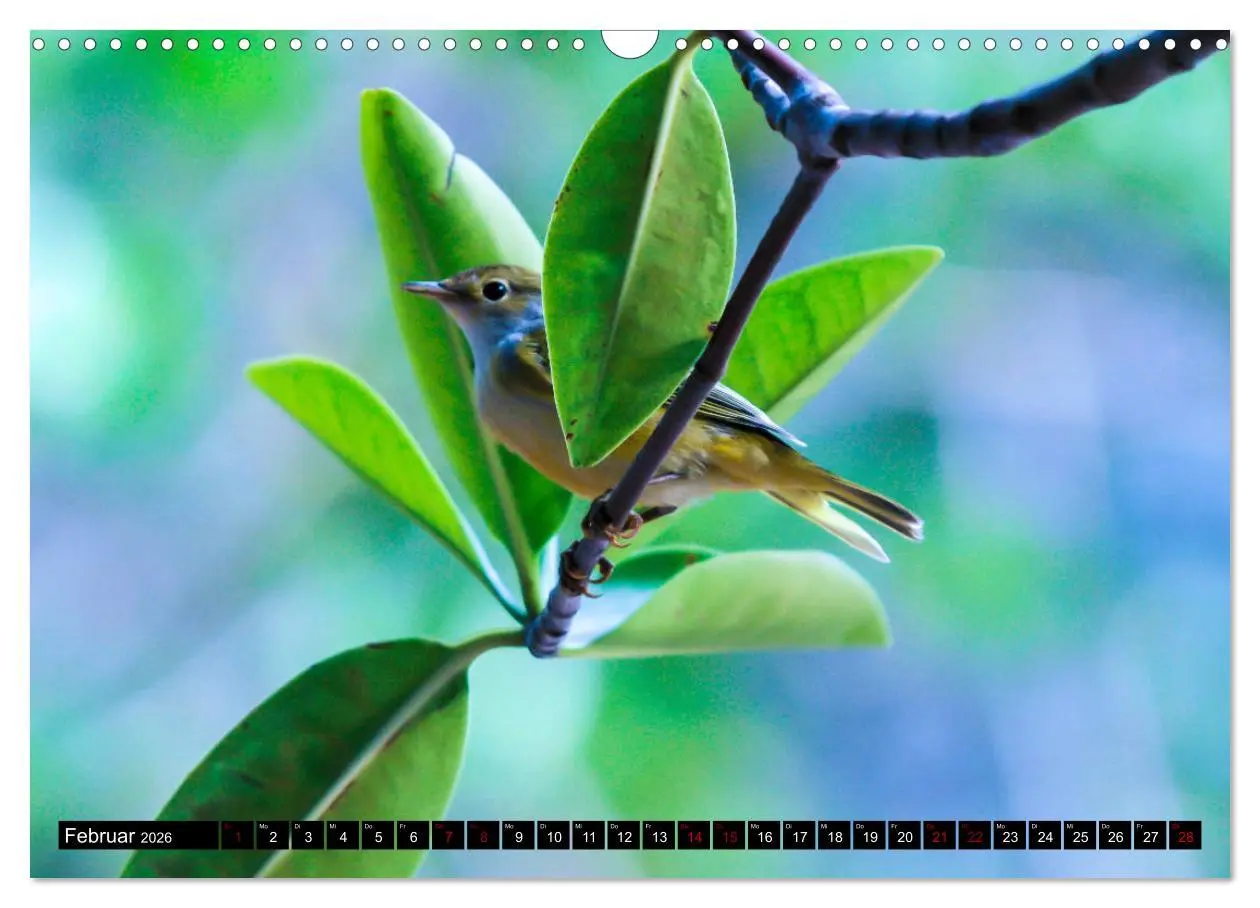 Bild: 9783457868928 | Naturparadies Galapagos - UNESCO Weltkulturerbe (Wandkalender 2026...