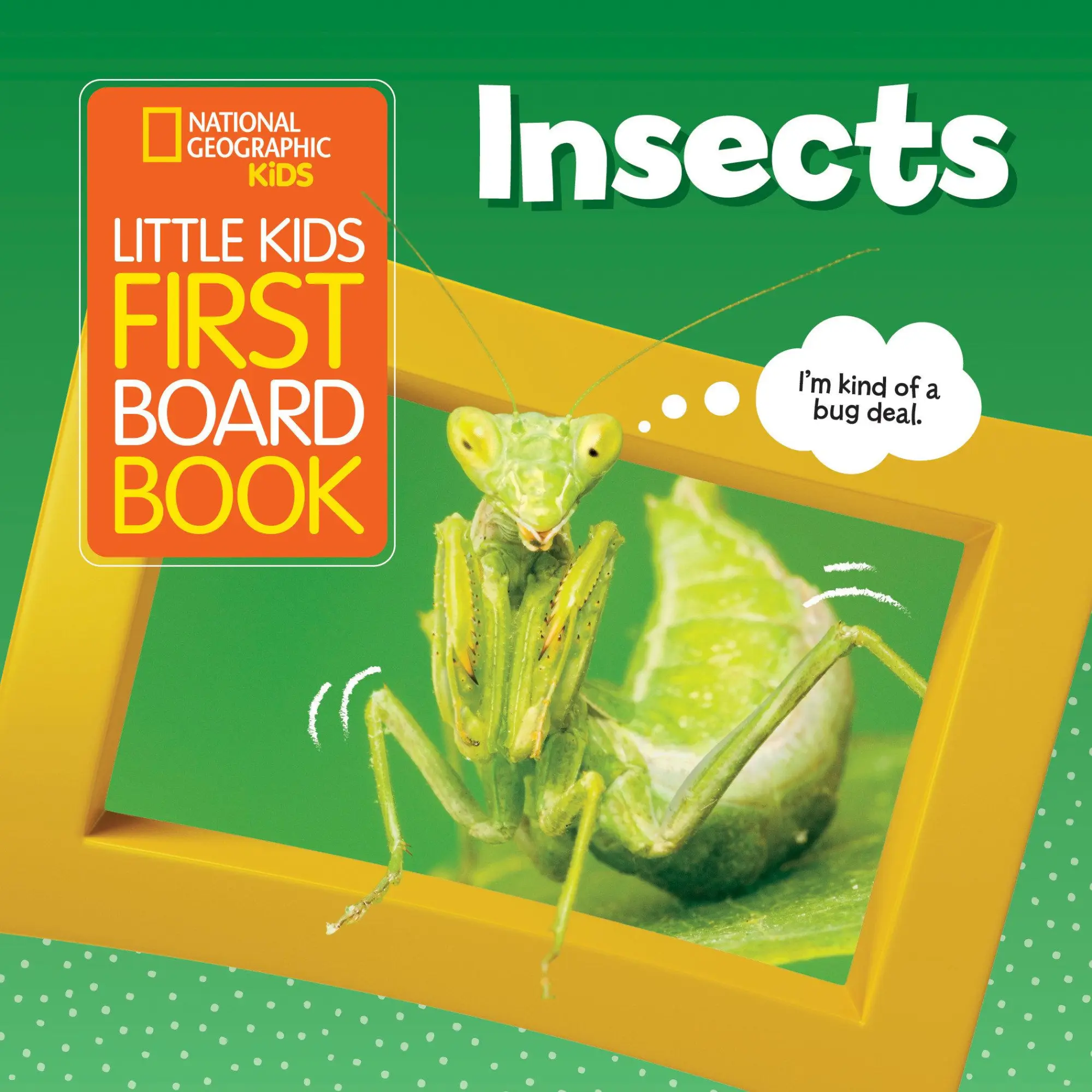 Cover: 9781426339028 | National Geographic Kids Little Kids First Board Book: Insects | Buch