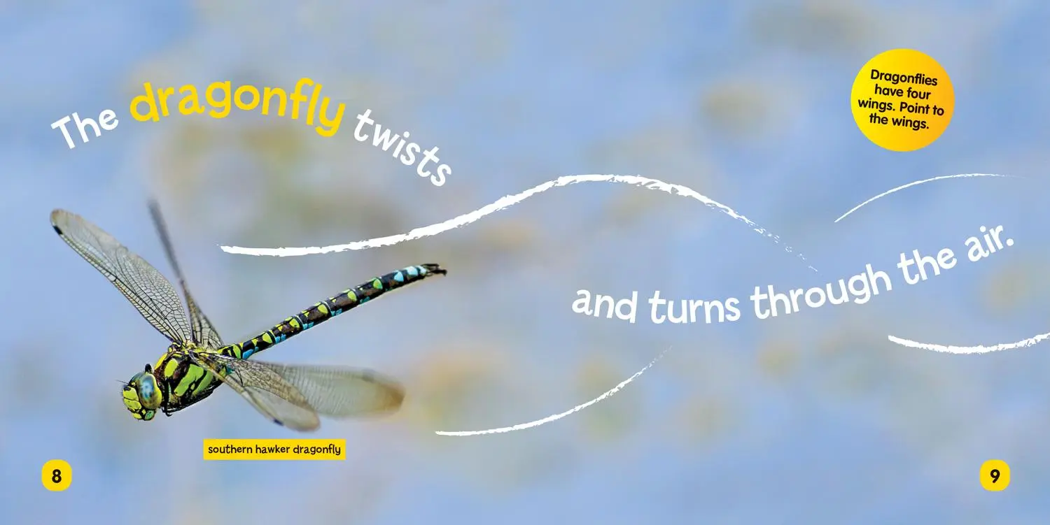 Bild: 9781426339028 | National Geographic Kids Little Kids First Board Book: Insects | Buch