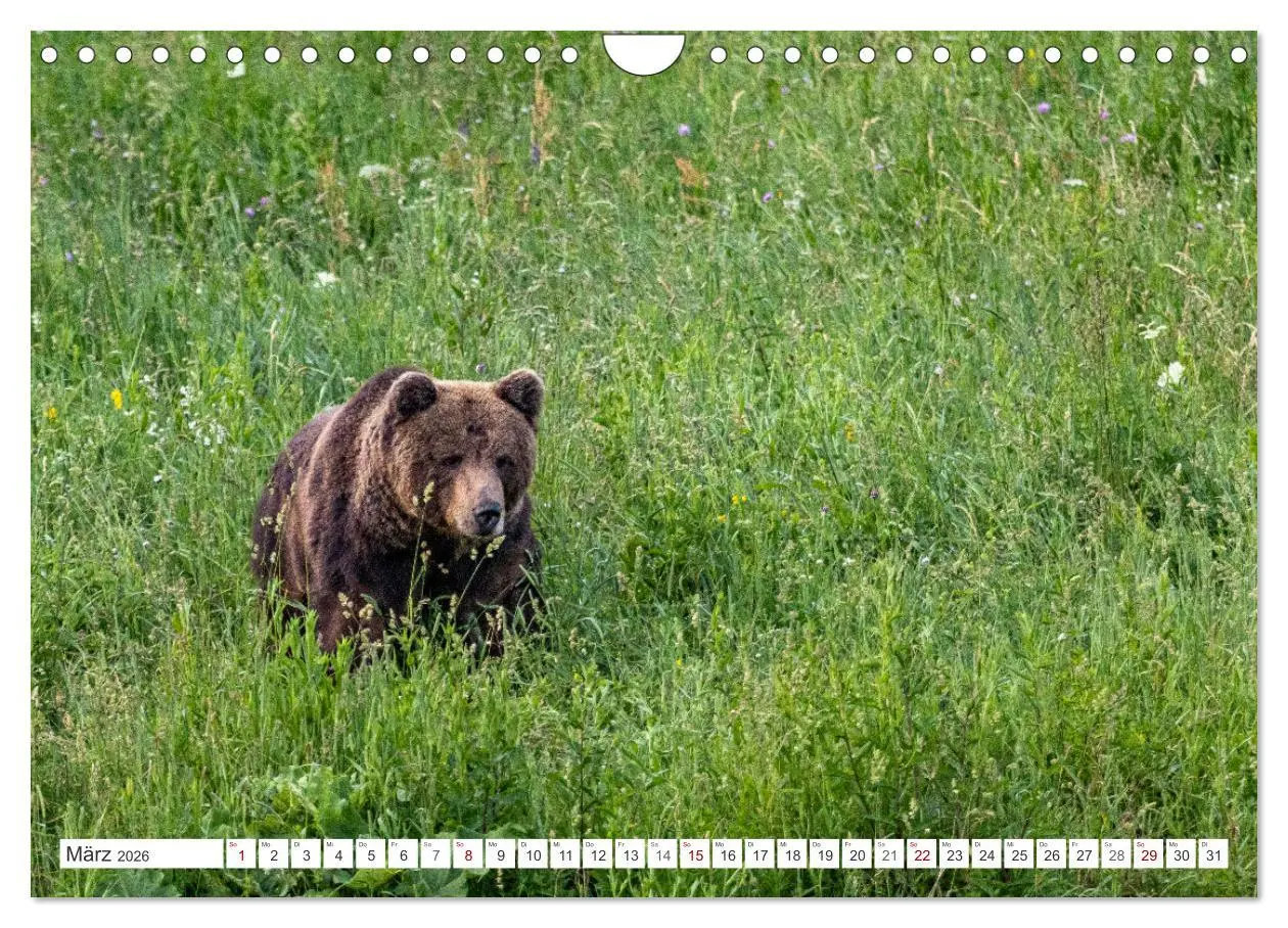 Bild: 9783457369128 | Faszination Bosnien-Herzegowina (Wandkalender 2026 DIN A4 quer),...
