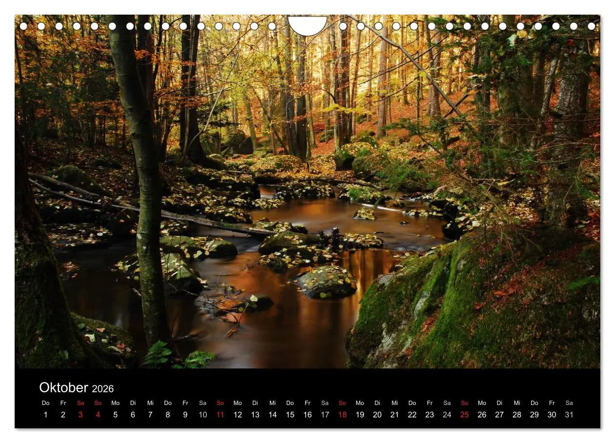 Bild: 9783457989128 | Zauberhafter Bayerischer Wald (Wandkalender 2026 DIN A4 quer),...