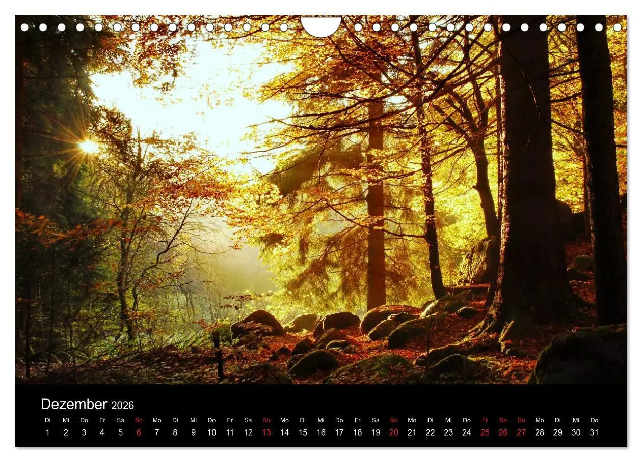 Bild: 9783457989128 | Zauberhafter Bayerischer Wald (Wandkalender 2026 DIN A4 quer),...