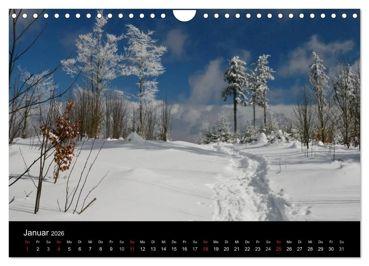Bild: 9783457989128 | Zauberhafter Bayerischer Wald (Wandkalender 2026 DIN A4 quer),...
