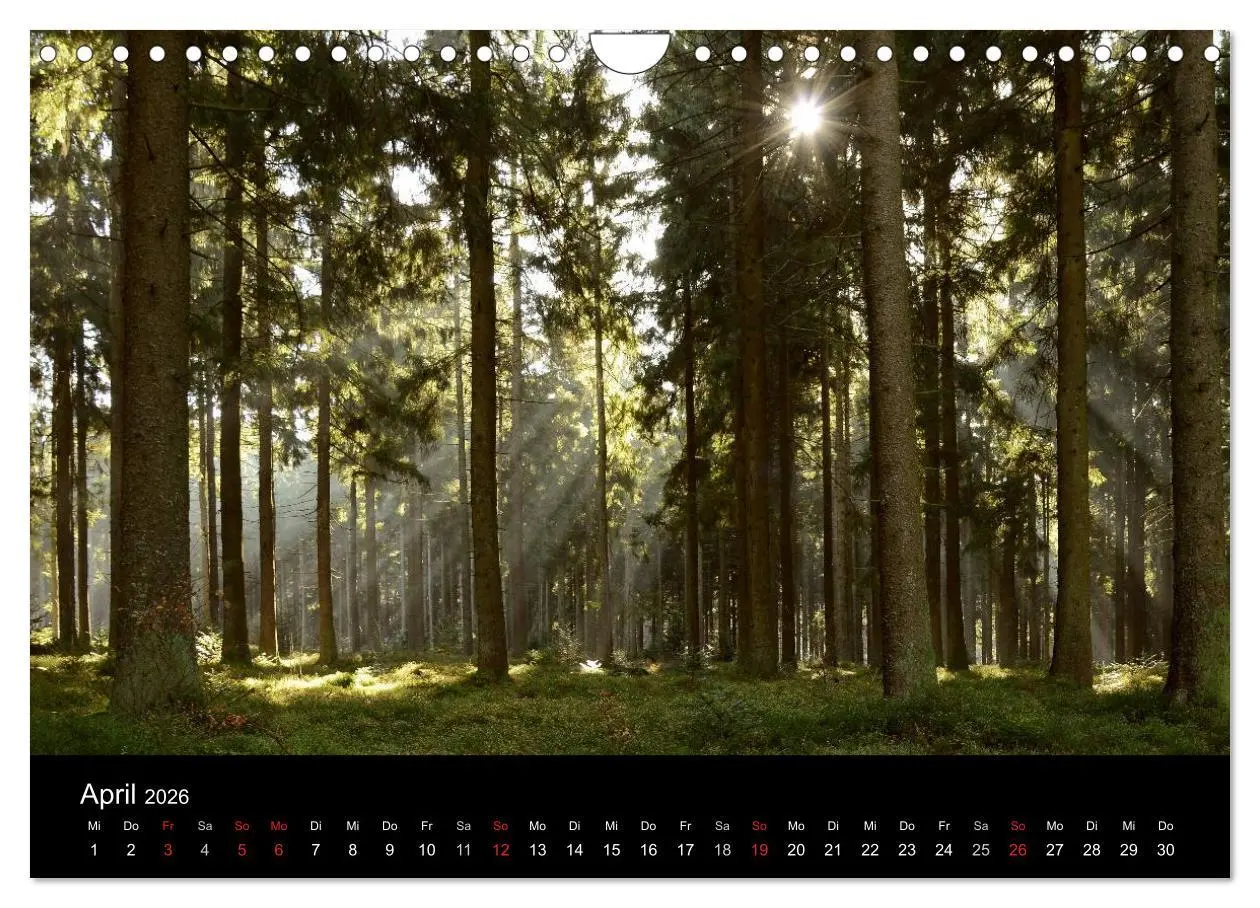 Bild: 9783457989128 | Zauberhafter Bayerischer Wald (Wandkalender 2026 DIN A4 quer),...