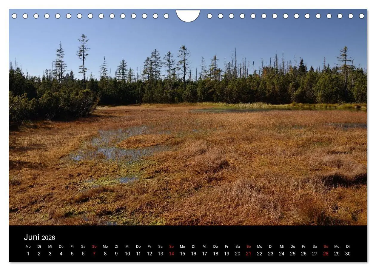 Bild: 9783457989128 | Zauberhafter Bayerischer Wald (Wandkalender 2026 DIN A4 quer),...