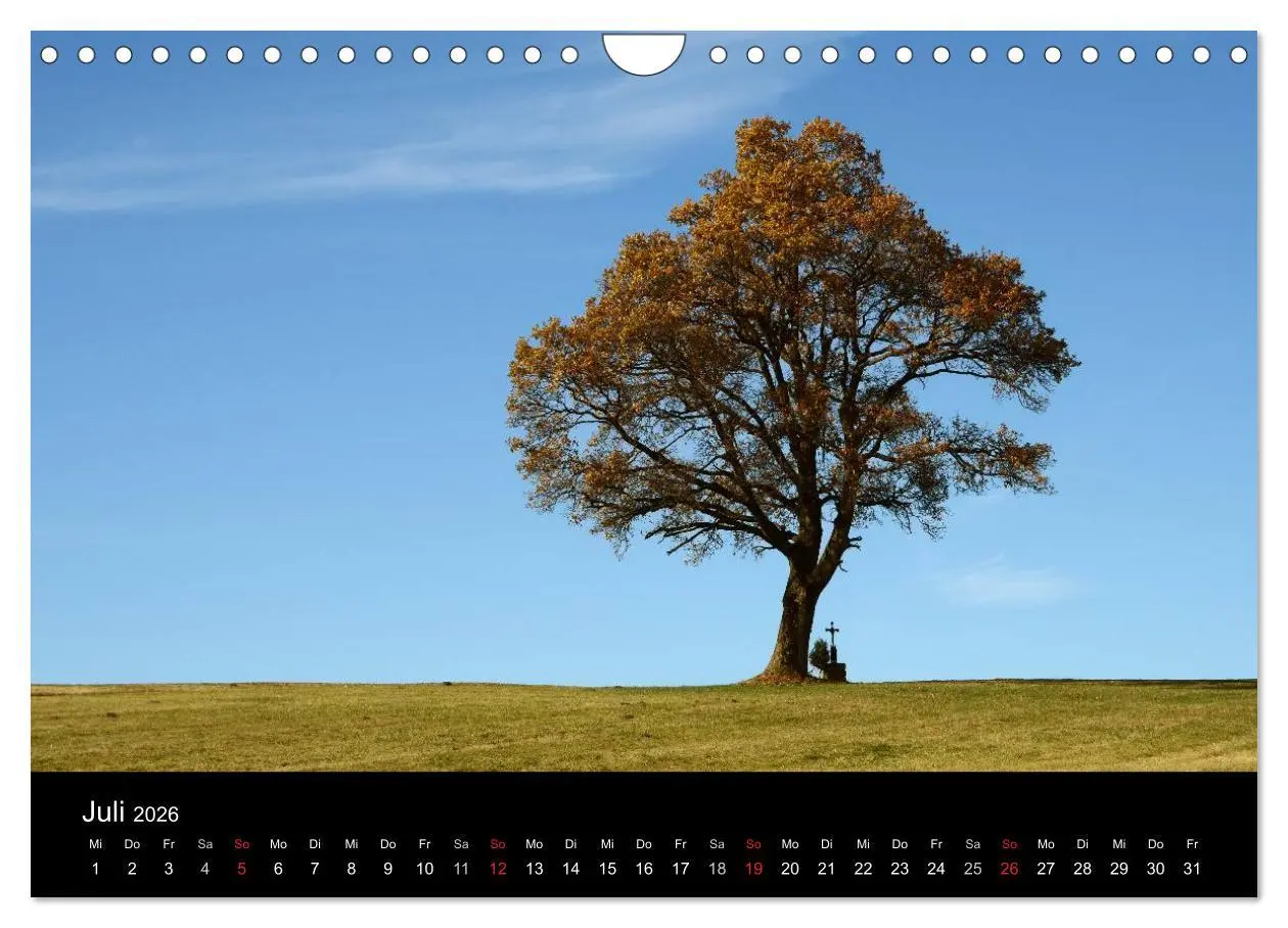 Bild: 9783457989128 | Zauberhafter Bayerischer Wald (Wandkalender 2026 DIN A4 quer),...