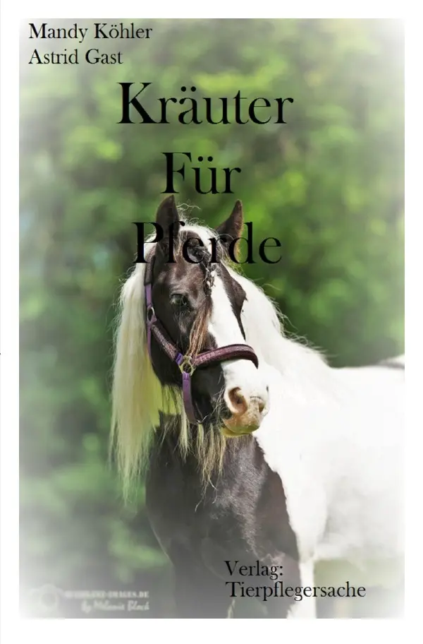 Cover: 9783741879128 | Kräuter für Pferde | Mandy Köhler | Taschenbuch | 36 S. | Deutsch