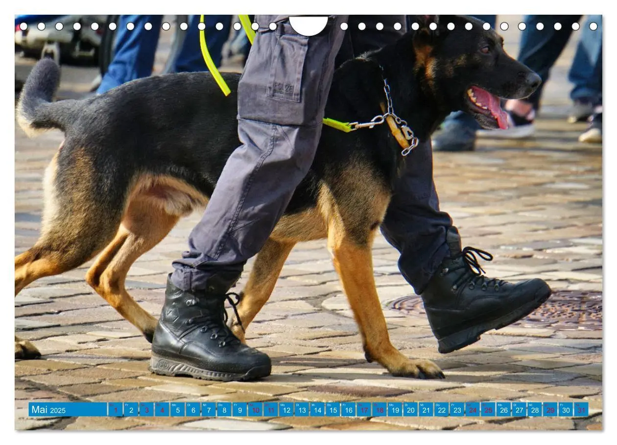 Bild: 9783383869228 | Aktionstag der Polizei (Wandkalender 2025 DIN A4 quer), CALVENDO...