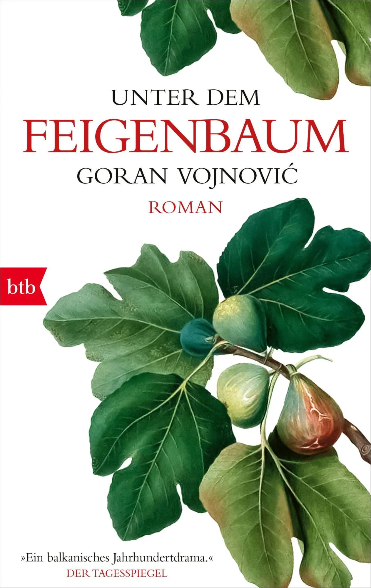 Cover: 9783442719228 | Unter dem Feigenbaum | Roman | Goran Vojnovic | Taschenbuch | 336 S.