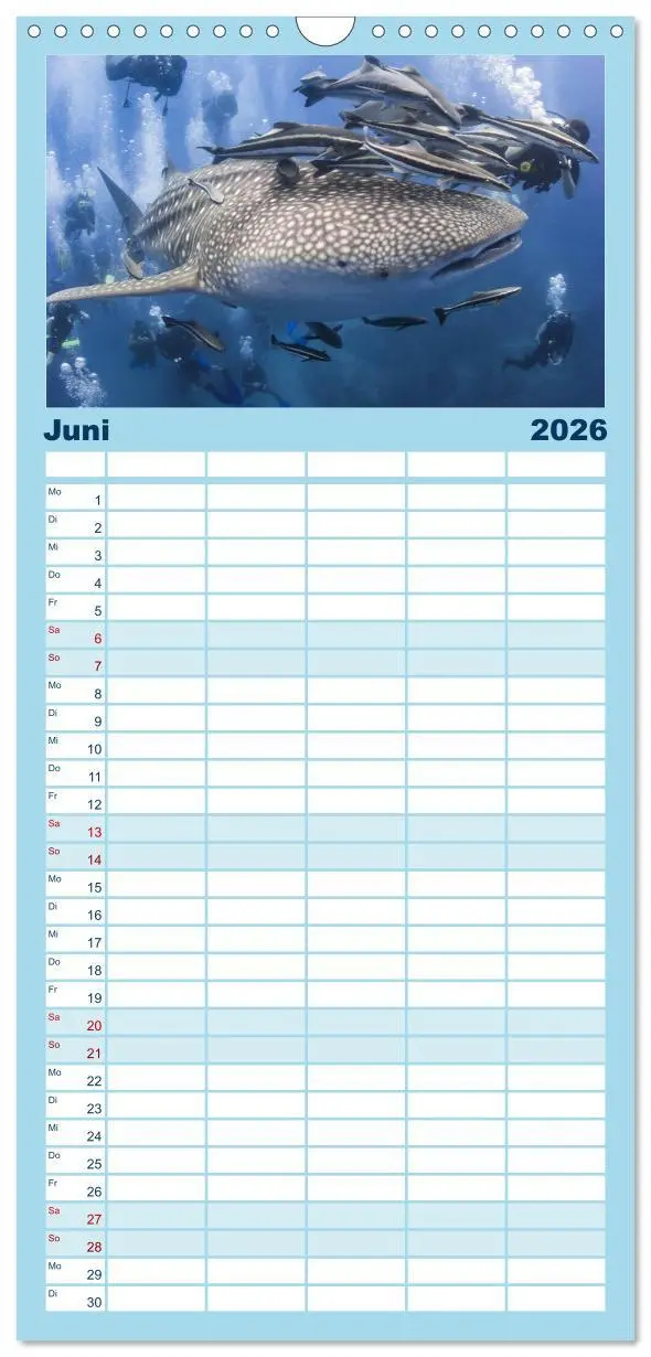 Bild: 9783516519228 | Familienplaner 2026 - Faszination Tauchen - Neptuns Reich mit 5...