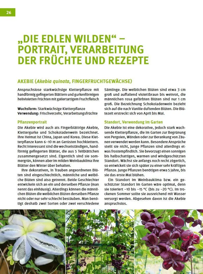Bild: 9783702019228 | Besondere Obstarten | Helmut Pirc (u. a.) | Buch | 175 S. | Deutsch