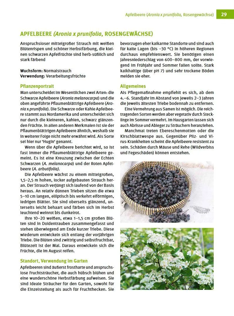 Bild: 9783702019228 | Besondere Obstarten | Helmut Pirc (u. a.) | Buch | 175 S. | Deutsch