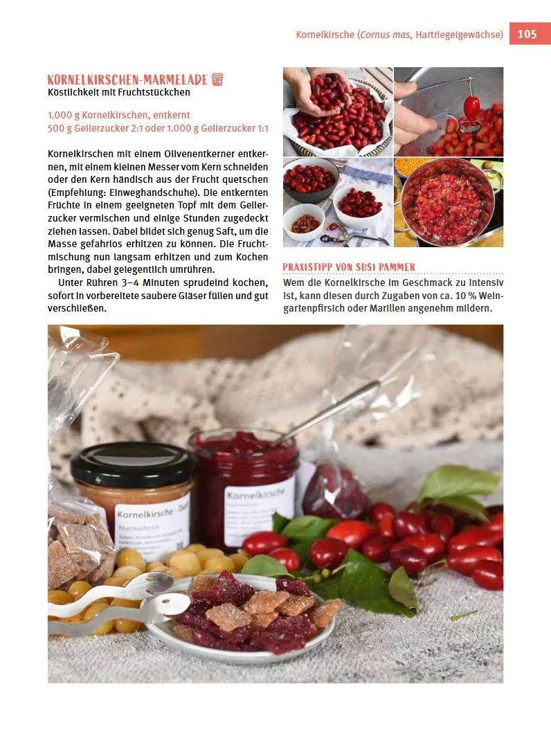 Bild: 9783702019228 | Besondere Obstarten | Helmut Pirc (u. a.) | Buch | 175 S. | Deutsch