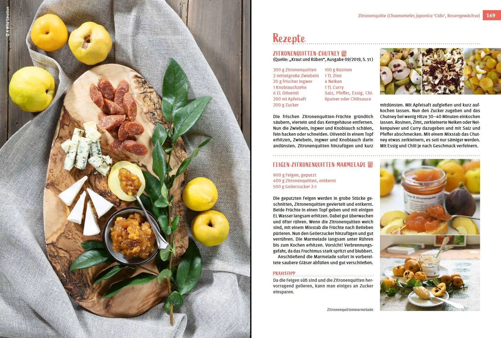 Bild: 9783702019228 | Besondere Obstarten | Helmut Pirc (u. a.) | Buch | 175 S. | Deutsch