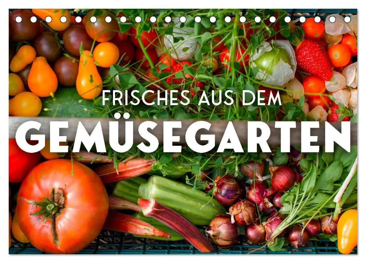 Cover: 9783457419328 | Frisches aus dem Gemüsegarten (Tischkalender 2026 DIN A5 quer),...