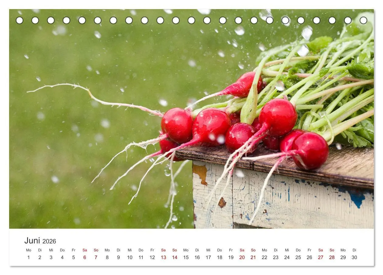 Bild: 9783457419328 | Frisches aus dem Gemüsegarten (Tischkalender 2026 DIN A5 quer),...