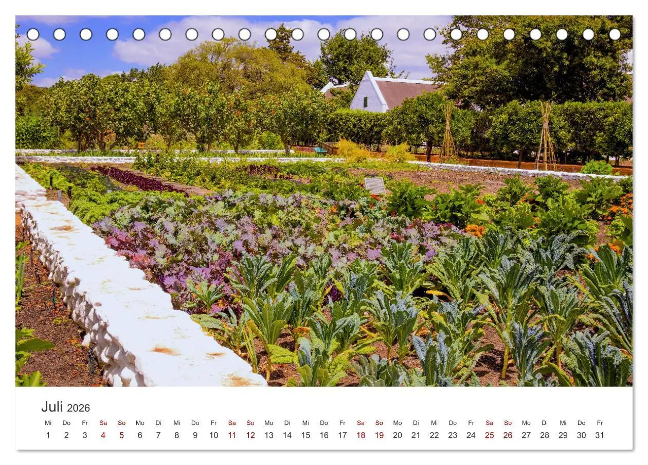 Bild: 9783457419328 | Frisches aus dem Gemüsegarten (Tischkalender 2026 DIN A5 quer),...