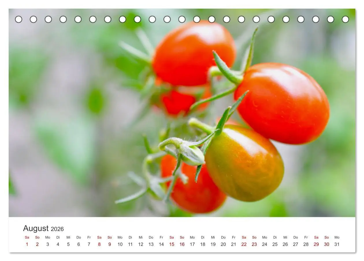 Bild: 9783457419328 | Frisches aus dem Gemüsegarten (Tischkalender 2026 DIN A5 quer),...