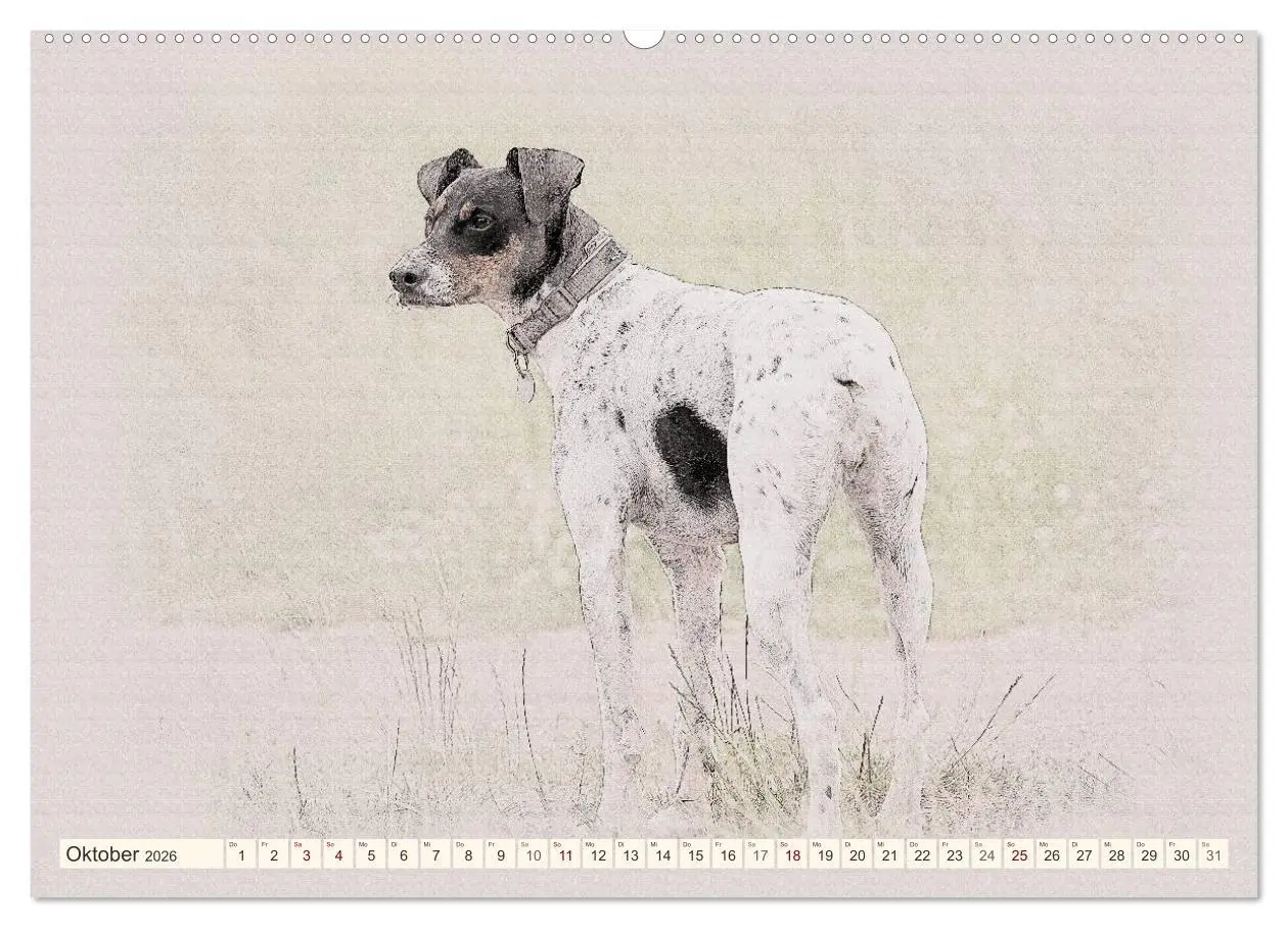 Bild: 9783516129328 | Bodeguero Andaluz 2026 (hochwertiger Premium Wandkalender 2026 DIN...