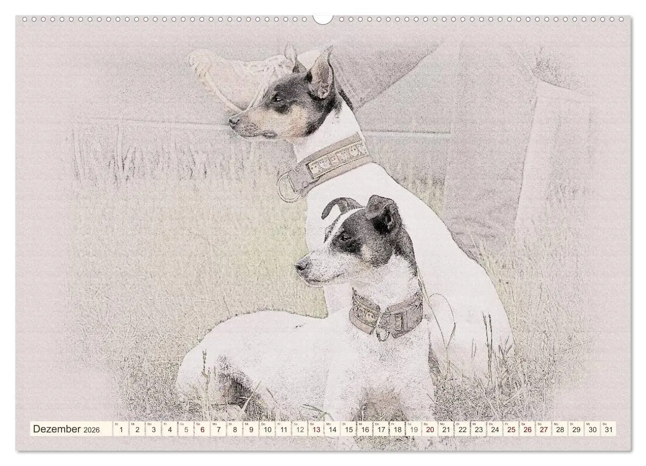 Bild: 9783516129328 | Bodeguero Andaluz 2026 (hochwertiger Premium Wandkalender 2026 DIN...