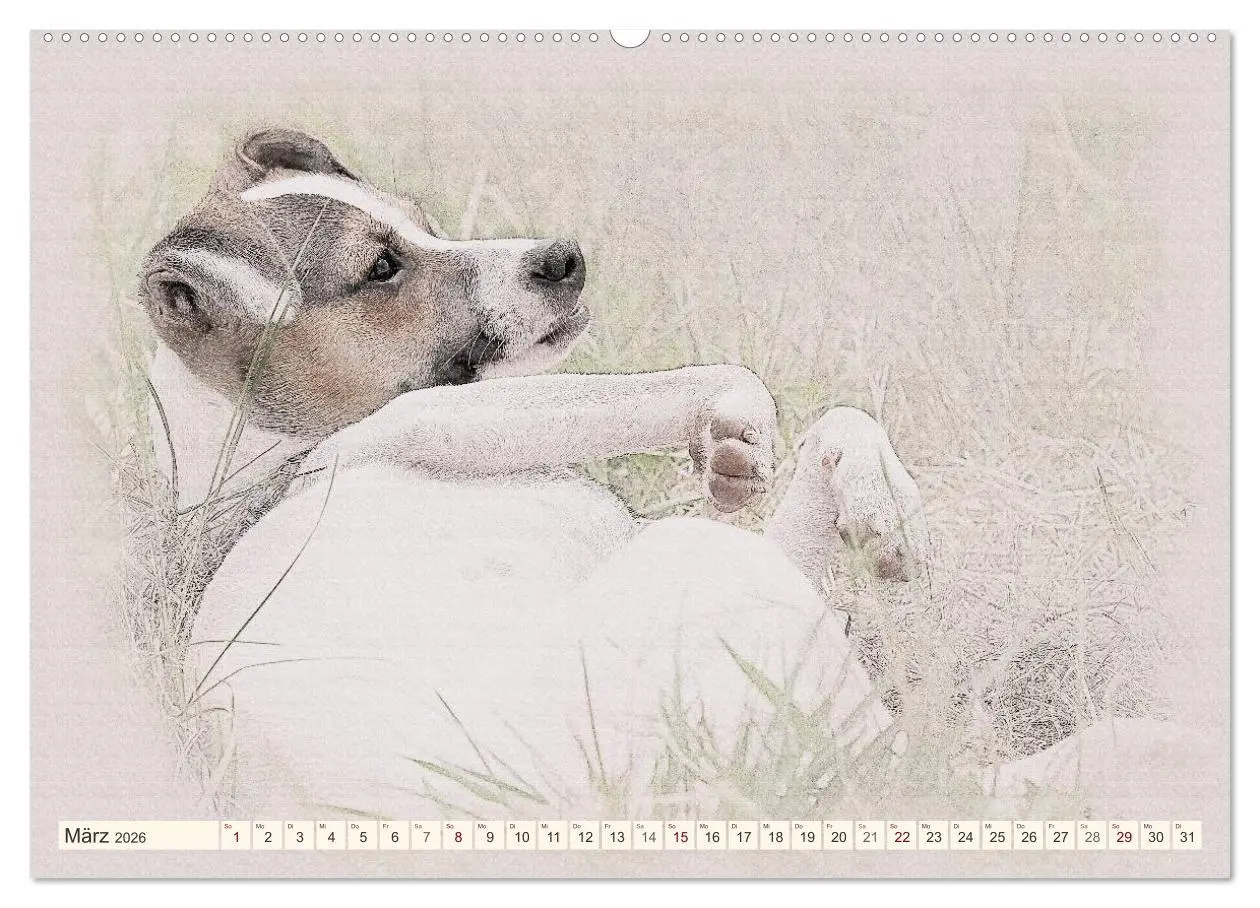 Bild: 9783516129328 | Bodeguero Andaluz 2026 (hochwertiger Premium Wandkalender 2026 DIN...