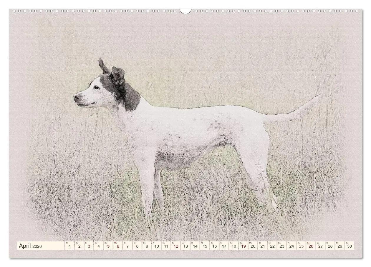 Bild: 9783516129328 | Bodeguero Andaluz 2026 (hochwertiger Premium Wandkalender 2026 DIN...