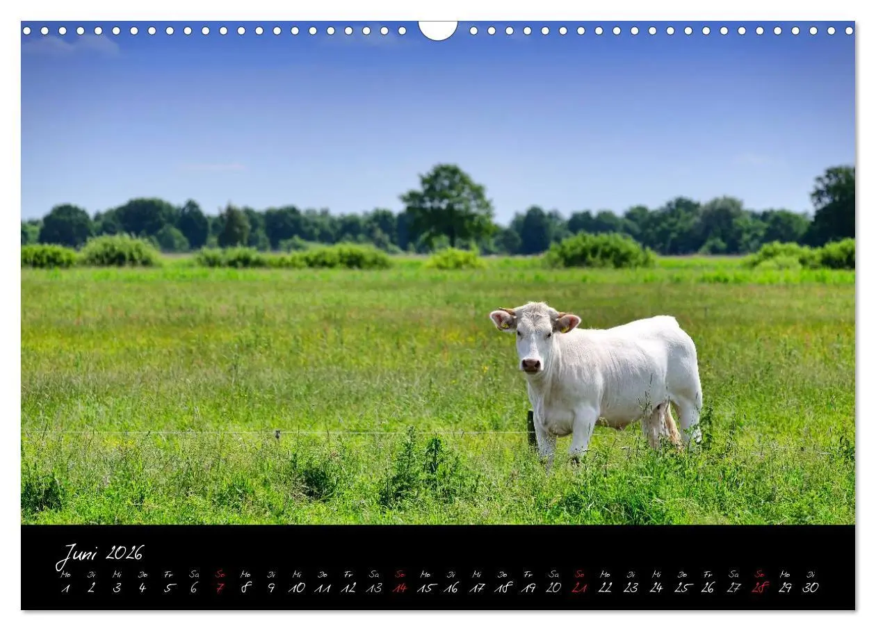 Bild: 9783516039528 | Vier- und Marschlande Hamburgs grüner Südosten (Wandkalender 2026...