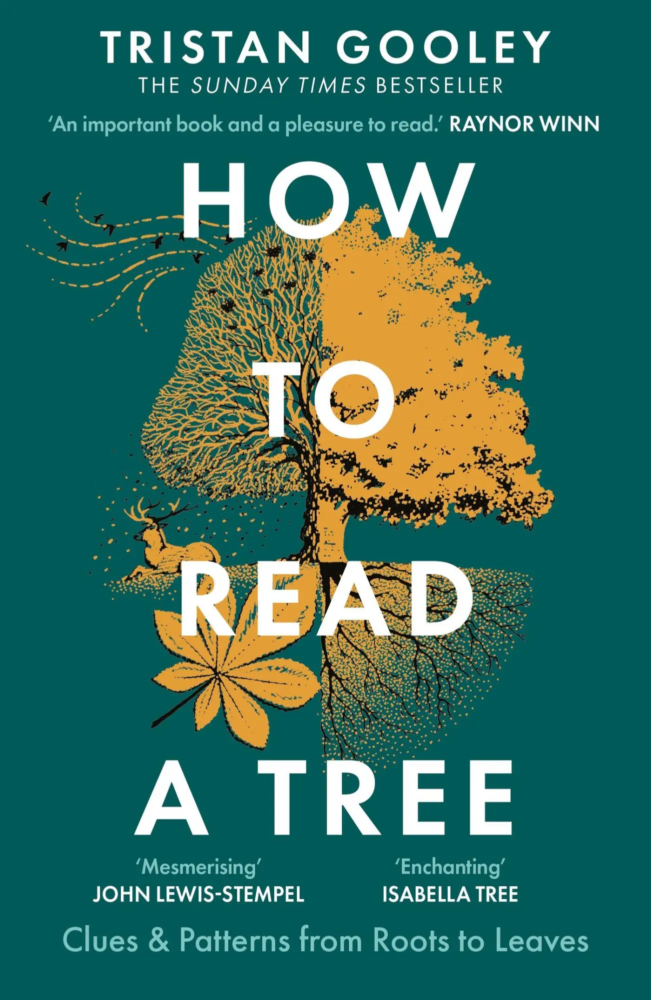 Cover: 9781529339628 | How to Read a Tree | Tristan Gooley | Taschenbuch | Englisch | 2024