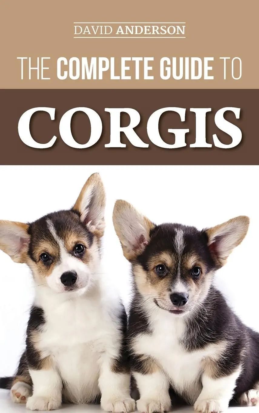 Cover: 9781952069628 | The Complete Guide to Corgis | David Anderson | Buch | Englisch | 2018