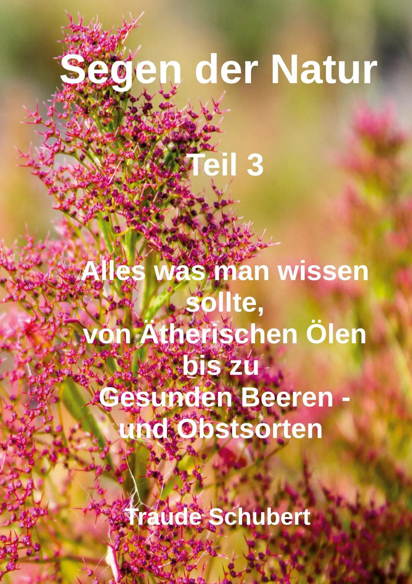 Cover: 9783819209628 | Segen der Natur - Teil 3 | Traude Schubert | Taschenbuch | 220 S.