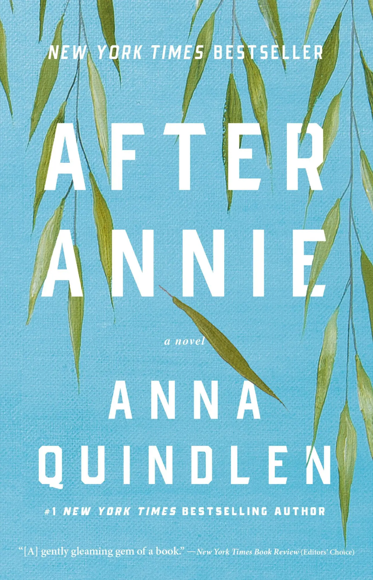 Cover: 9780593229828 | After Annie | A Novel | Anna Quindlen | Taschenbuch | Englisch | 2025