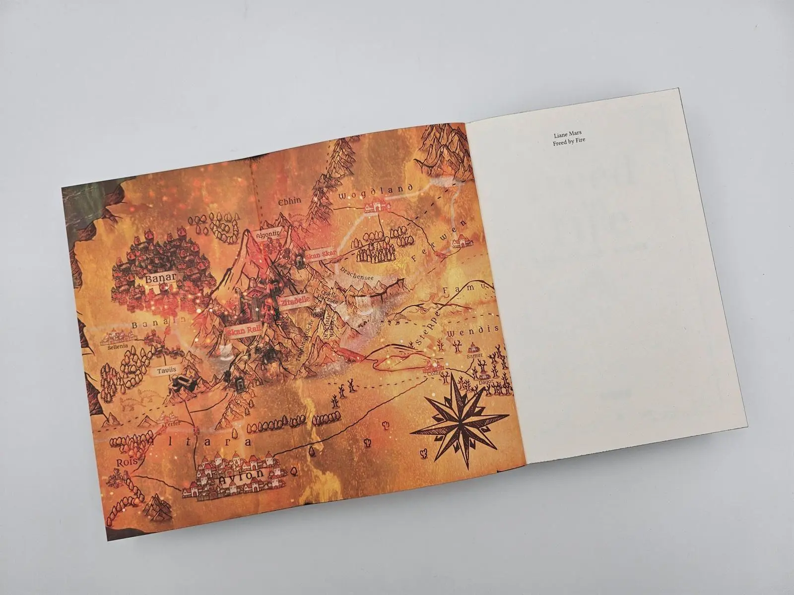 Bild: 9783492709828 | Freed by Fire | Liane Mars | Taschenbuch | Funken und Asche | 400 S.