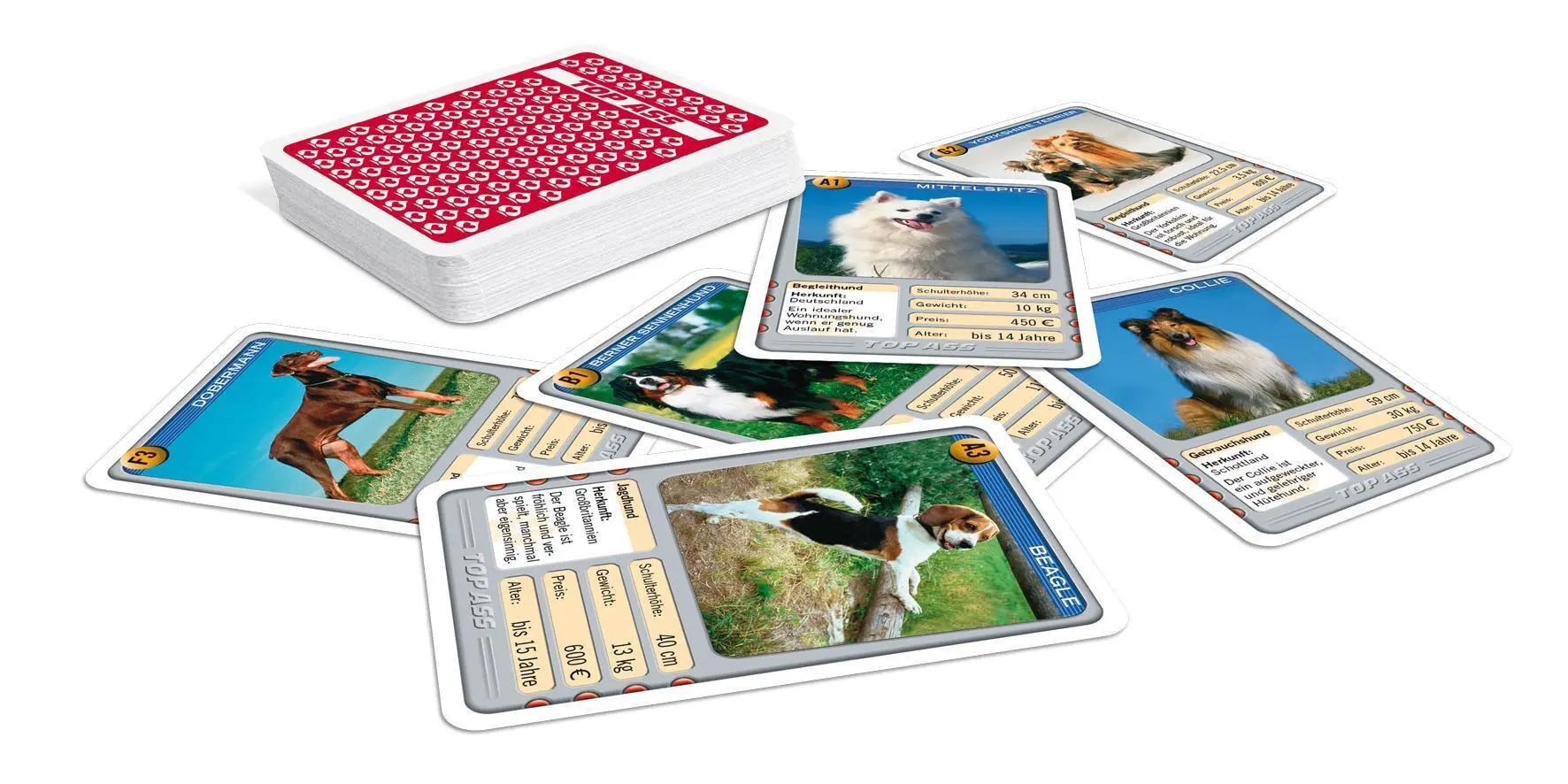 Bild: 4042677719928 | TOP ASS - Hunde | Spielkartenfabrik Altenburg GmbH | Spiel | 22571992
