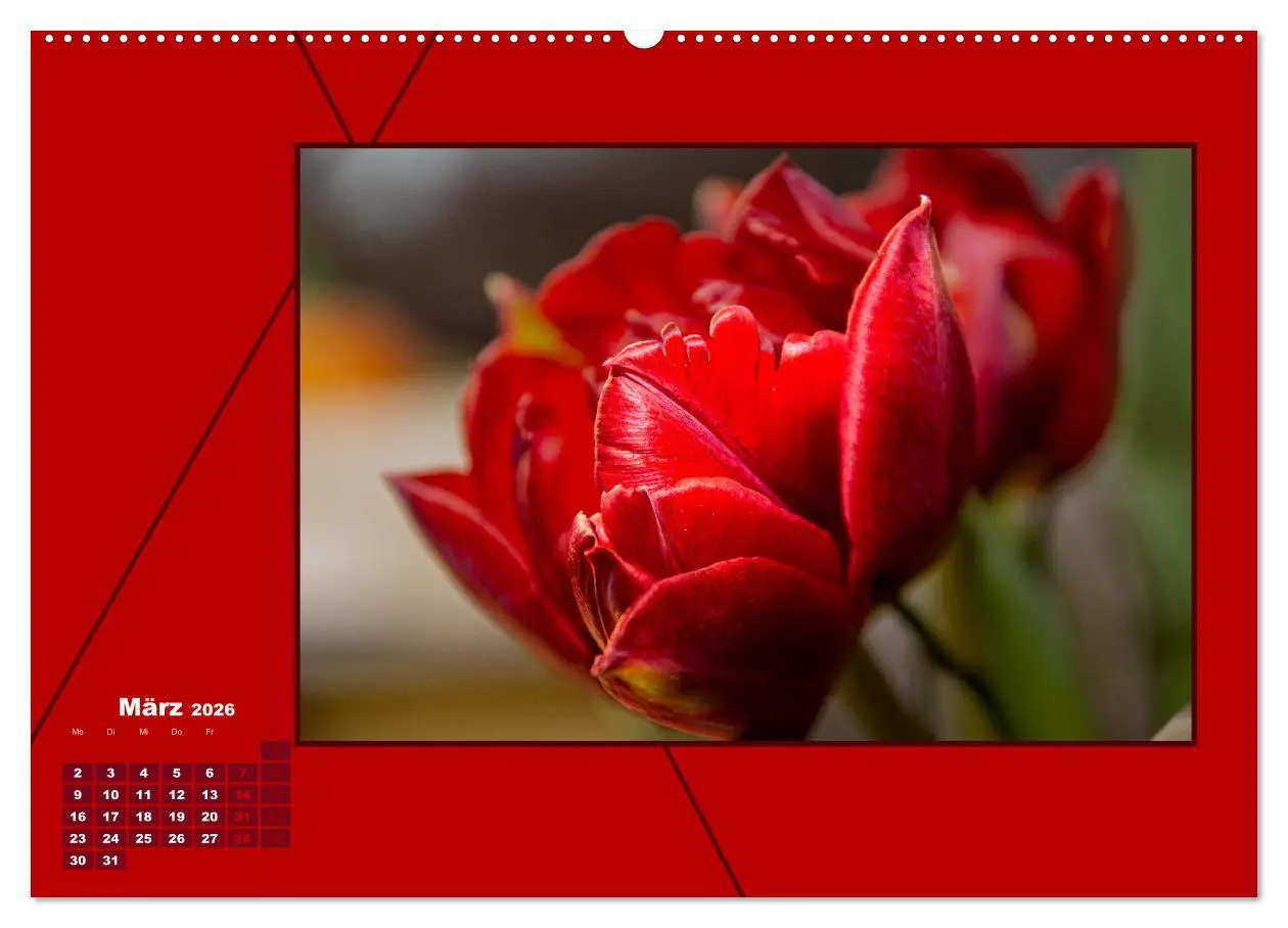 Bild: 9783457459928 | Powerfarbe Rot (hochwertiger Premium Wandkalender 2026 DIN A2...
