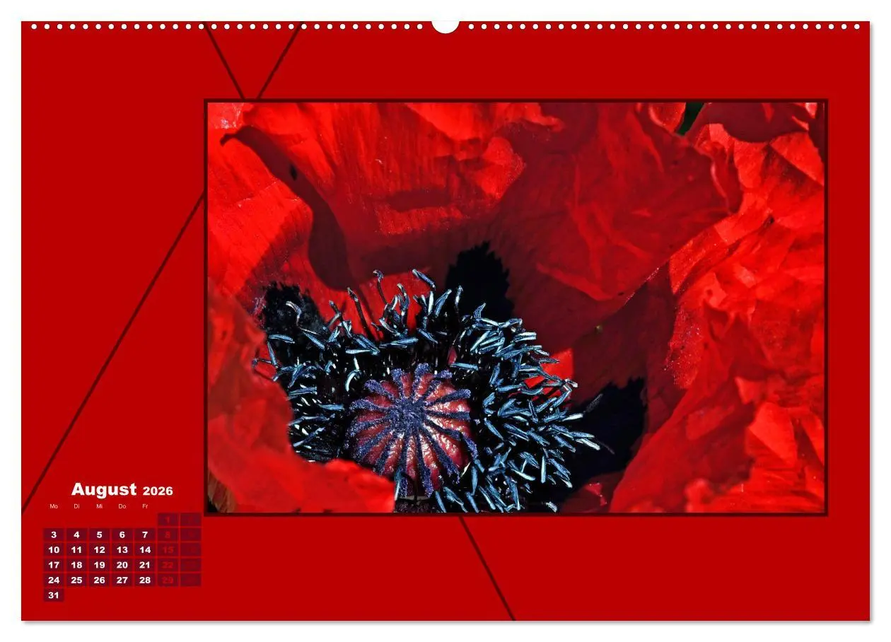 Bild: 9783457459928 | Powerfarbe Rot (hochwertiger Premium Wandkalender 2026 DIN A2...