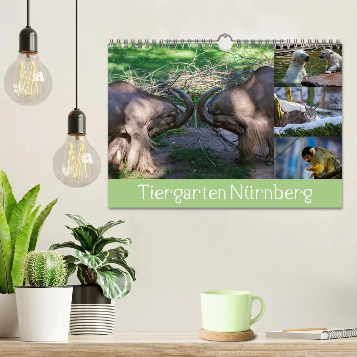 Bild: 9783457909928 | Tiergarten Nürnberg (Wandkalender 2026 DIN A4 quer), CALVENDO...