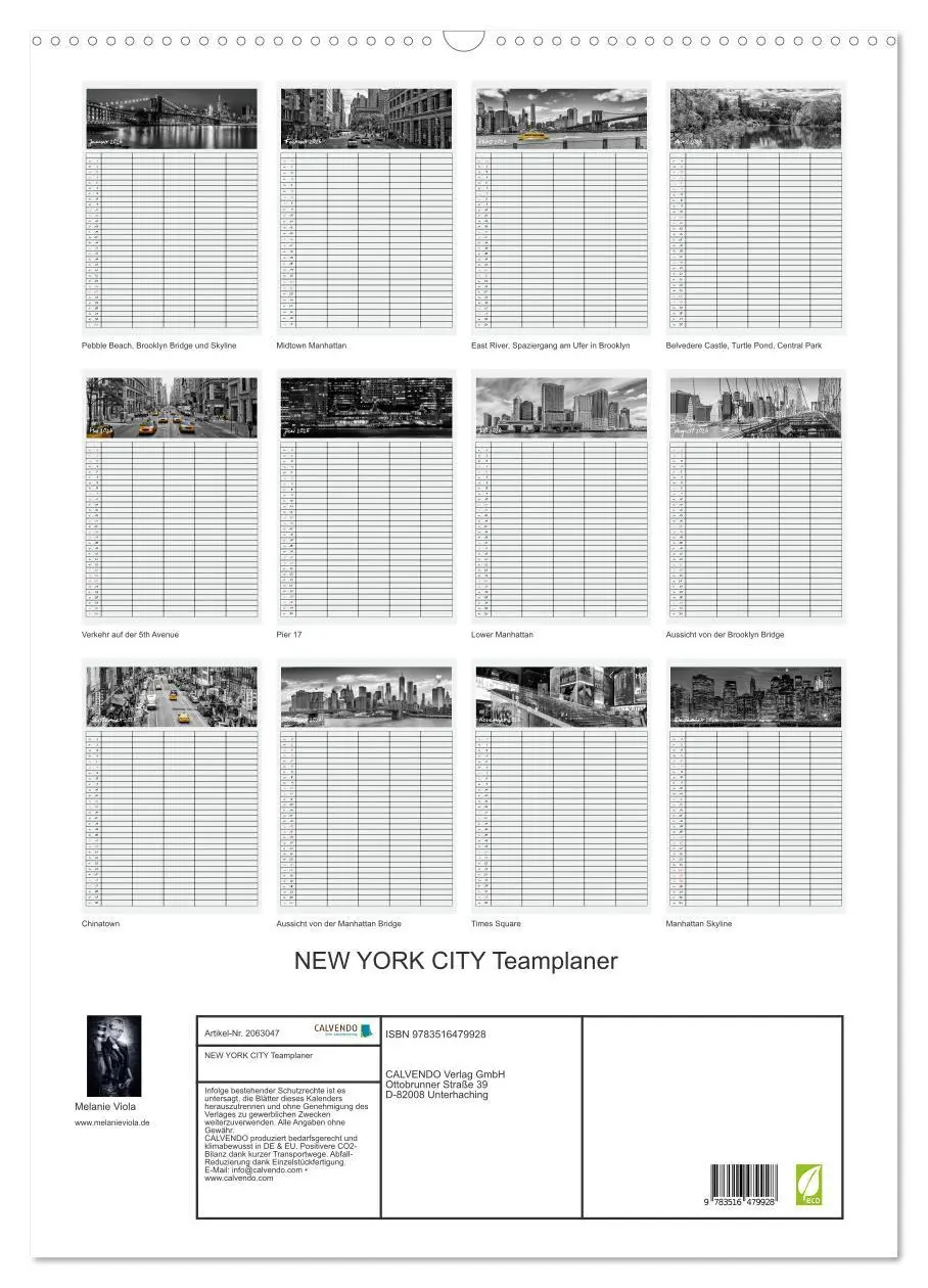 Bild: 9783516479928 | NEW YORK CITY Teamplaner (Wandkalender 2026 DIN A2 hoch), CALVENDO...